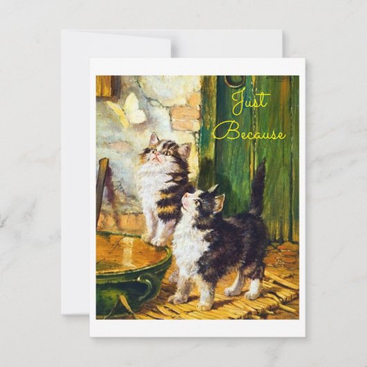 Vintage Nieuwsgierige Kittens Vlinder Kunst Gewoon (Voorkant)