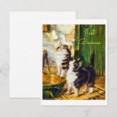 Vintage Nieuwsgierige Kittens Vlinder Kunst Gewoon (Voorkant / Achterkant)