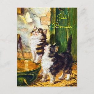 Vintage Nieuwsgierige Kittens Vlinder Kunst Gewoon Briefkaart