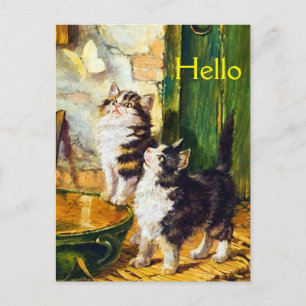 Vintage Nieuwsgierige Kittens Vlinder Victoriaanse Briefkaart