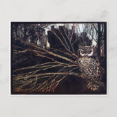 Vintage Night Owl Rackham Briefkaart (Voorkant)