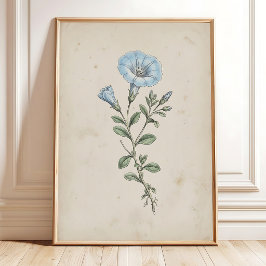 Vintage Nolana-bloemkunst Antieke Huisdecoratie Poster