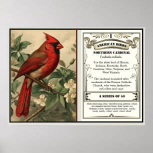Vintage Noordelijke Kardinaal Staatsvogel Info Poster