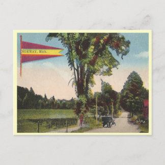Vintage Noorwegen Michigan Briefkaart