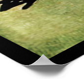 Vintage Nosferatu Poster (Hoek)