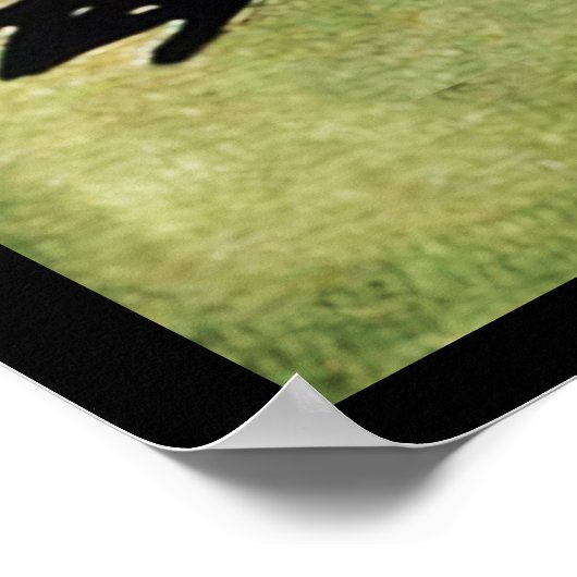 Vintage Nosferatu Poster (Hoek)