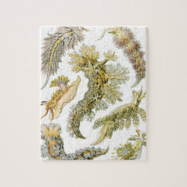 Vintage Nudibranchia, Zee Slugs door Ernst Haeckel Legpuzzel