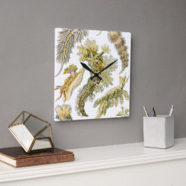 Vintage Nudibranchia, Zee Slugs door Ernst Haeckel Vierkante Klok