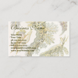 Vintage Nudibranchia, Zee Slugs door Ernst Haeckel Visitekaartje