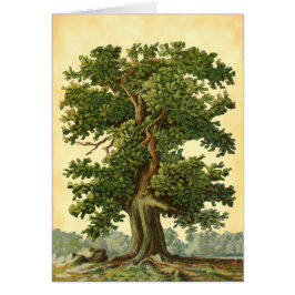 Vintage Oak Tree Faux Parchment Blank Art Card