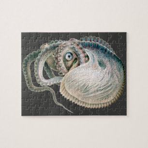 Vintage Octopus Argonaut, Zeeleven Dieren Legpuzzel