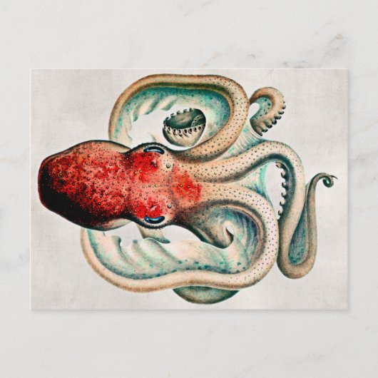 Vintage Octopus Briefkaart (Voorkant)