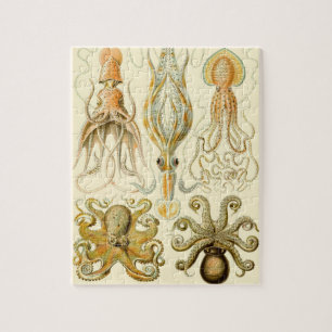 Vintage Octopus Inktvis Gamochonia door Ernst Haec Legpuzzel