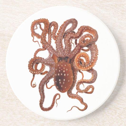 Vintage Octopus Macropus, Mariene Waterdieren Zandsteen Onderzetter (Voorkant)