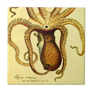 Vintage Octopus nr. 46 Archival Keramische Onder Tegeltje