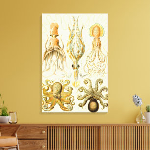 Vintage Octopus Pijlinkt Gamochonia door Ernst Hae Canvas Afdruk