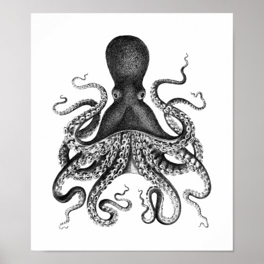 Vintage Octopus Poster (Voorkant)