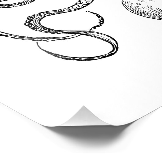 Vintage Octopus Sjabloon Foto Afdruk (Hoek)