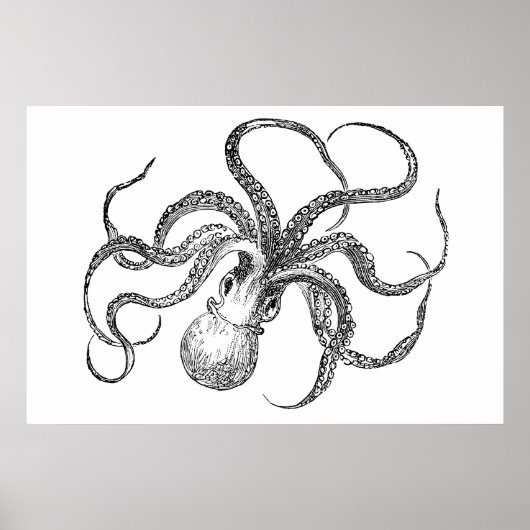 Vintage Octopus Sjabloon Poster (Voorkant)