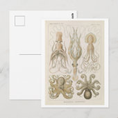 Vintage Octopus van Haeckel Briefkaart (Voorkant / Achterkant)