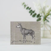 Vintage Okapi Briefkaart (Staand voorkant)
