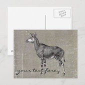 Vintage Okapi Briefkaart (Voorkant / Achterkant)