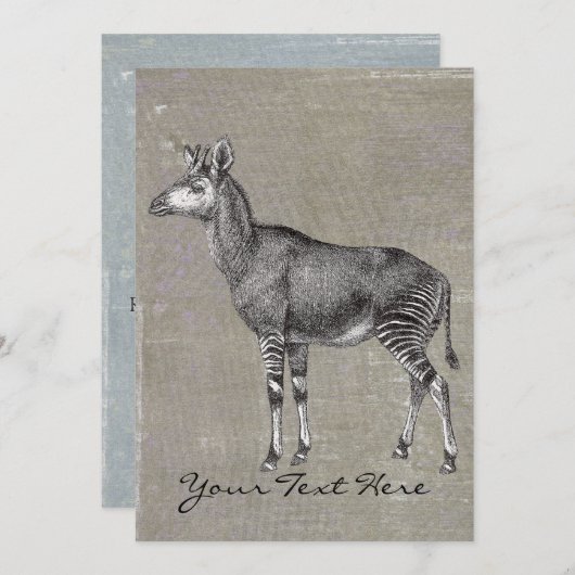 Vintage Okapi Kaart (Voorkant / Achterkant)