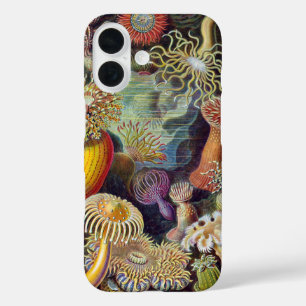 Vintage onderwater zeeanemonen door Ernst Haeckel iPhone 16 Hoesje