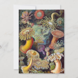 Vintage Onderwater Zeeanemonen door Ernst Haeckel Kaart