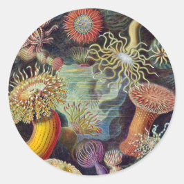 Vintage Onderwater Zeeanemonen door Ernst Haeckel Ronde Sticker