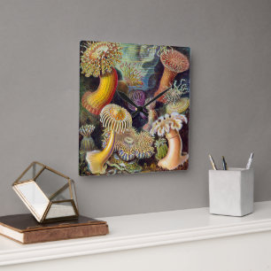 Vintage Onderwater Zeeanemonen door Ernst Haeckel Vierkante Klok