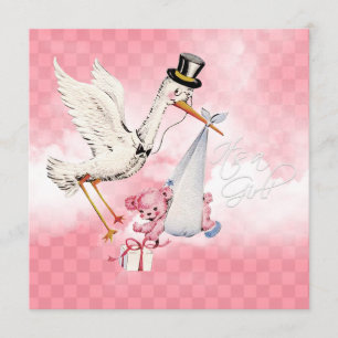 Vintage Ooievaar Baby Meisje Shower Kaart