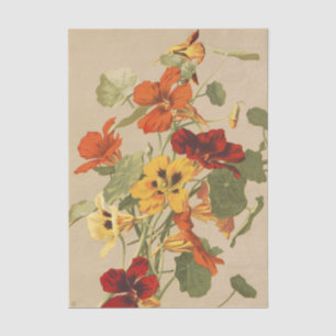 Vintage Oostindische Kers Bloem Botanische Tuin Ku Tissuepapier