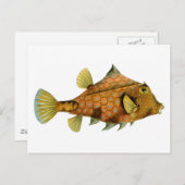 Vintage Orange Fish Briefkaart (Voorkant / Achterkant)