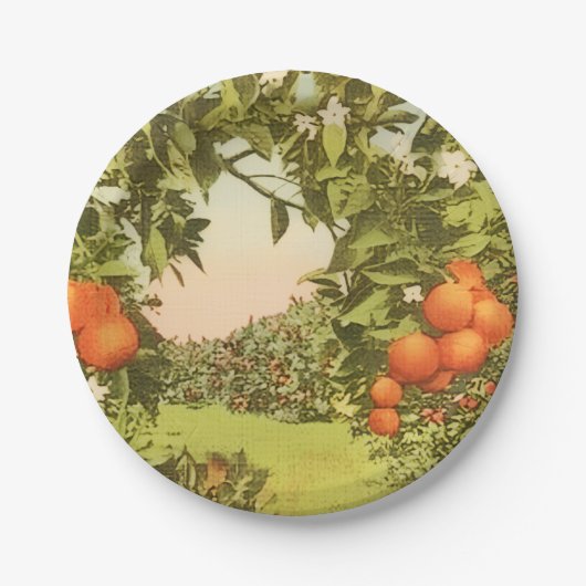 Vintage Orange Grove Papieren Bordje (Voorkant)
