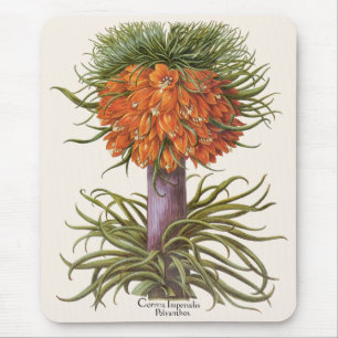 Vintage Oranje Fritillaria Bloemen Basilius Besler Muismat