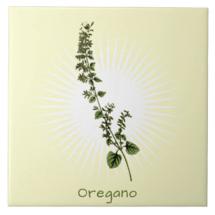 Vintage Oregano Herb Botanische Kunstkeramische Te Tegeltje