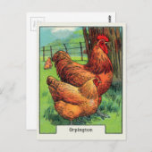 Vintage Orpington Chicken Briefkaart (Voorkant / Achterkant)