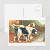 Vintage Otterhonden Briefkaart (Voorkant / Achterkant)