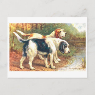 Vintage Otterhonden Briefkaart