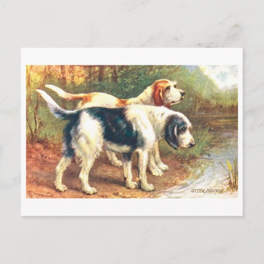 Vintage Otterhonden Briefkaart (Voorkant)