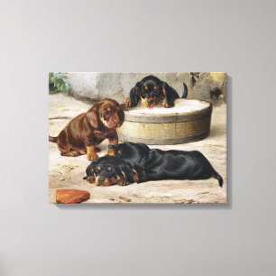 Vintage Otto Bache Dachshund puppies Canvas Afdruk