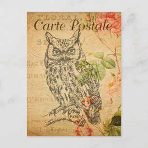 Vintage Owl Floral Flowers French Cartle Postale Briefkaart