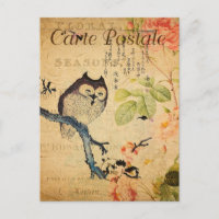 Vintage Owl Floral Flowers French Cartle Postale