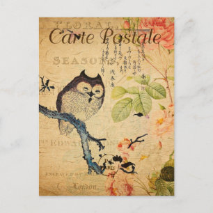 Vintage Owl Floral Flowers French Cartle Postale Briefkaart