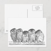Vintage Owls Briefkaart (Voorkant / Achterkant)