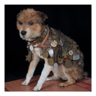 VINTAGE ~ OWNEY de hond New York ~ Perfect Poster