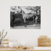 Vintage paarden fotografie poster (Keuken)