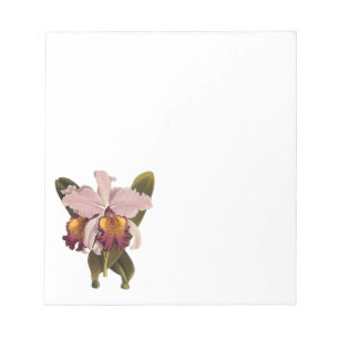 Vintage paarse Cattleya-orchidee, tropische bloeme Notitieblok