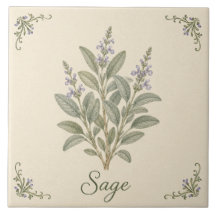 Vintage Paarse Salie Botanische Keuken Kruid